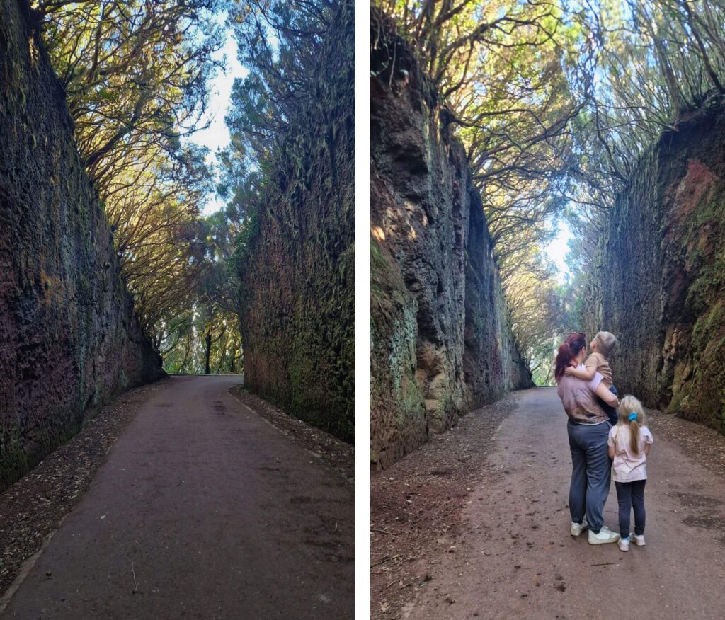 Teneryfa z dzieckiem – pogoda, atrakcje i praktyczne wskazówki Camino Viejo al Pico del Inglès, czyli tunel wróżek na Teneryfie