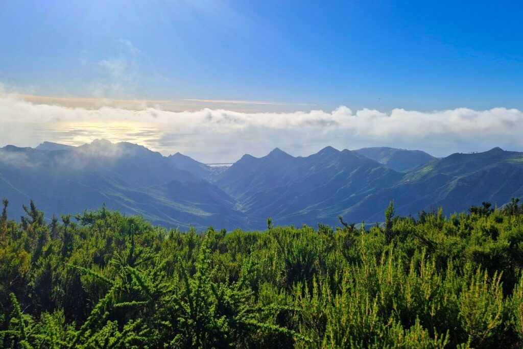 Teneryfa z dzieckiem – pogoda, atrakcje i praktyczne wskazówki Mirador del Llano de los Loros