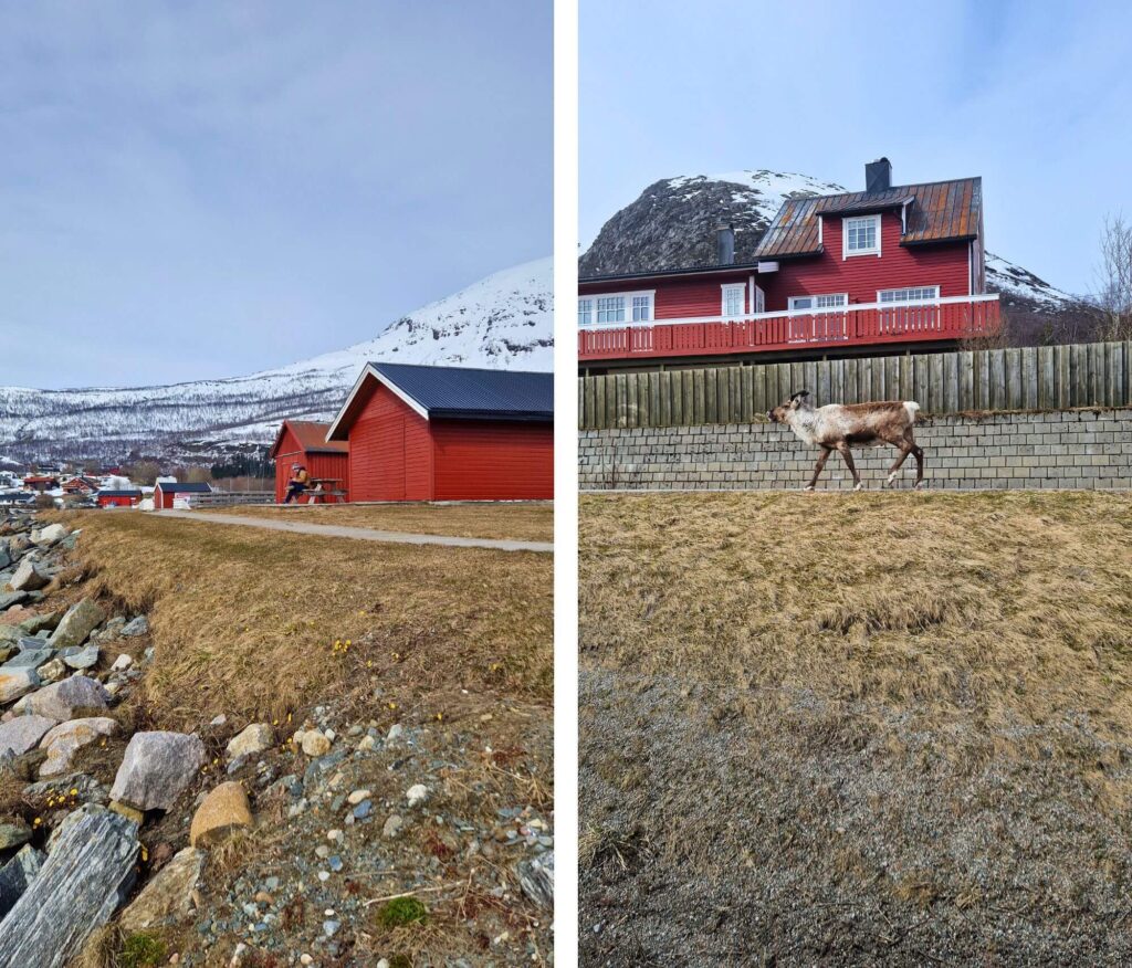 Lofoty: Co warto wiedzieć? Lofoty - Trasa z Tromso do Leknes