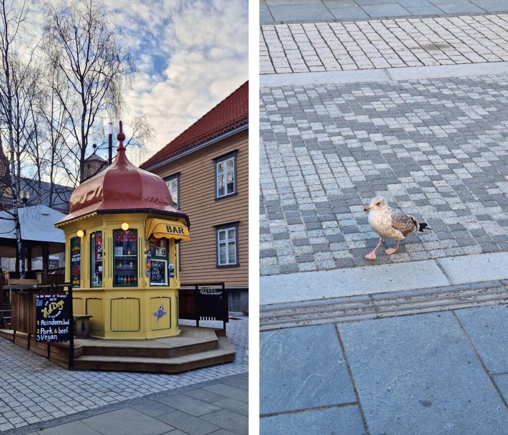 Tromsø na jeden dzień. Co warto zobaczyć? Raketten Bar & Pølse, Tromso