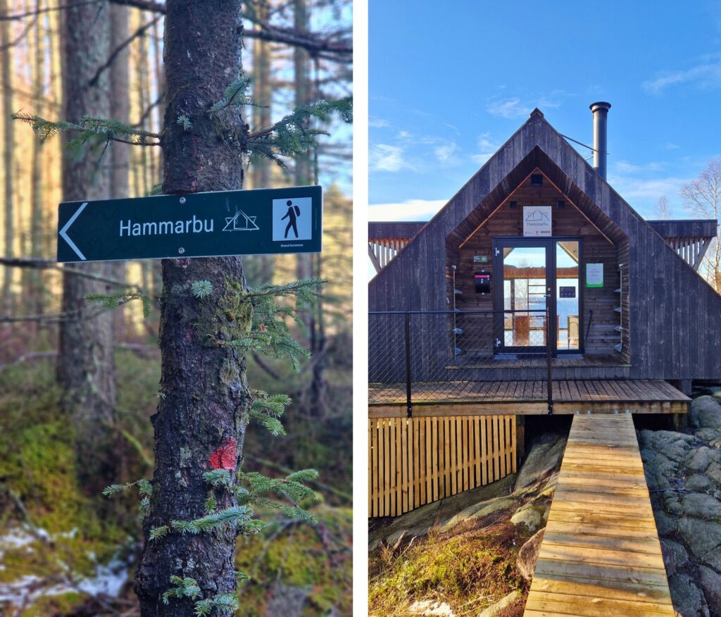 Na własne oczy: Domek jednodniowy Hammarbu w Jørpelandzie droga do hammarbu