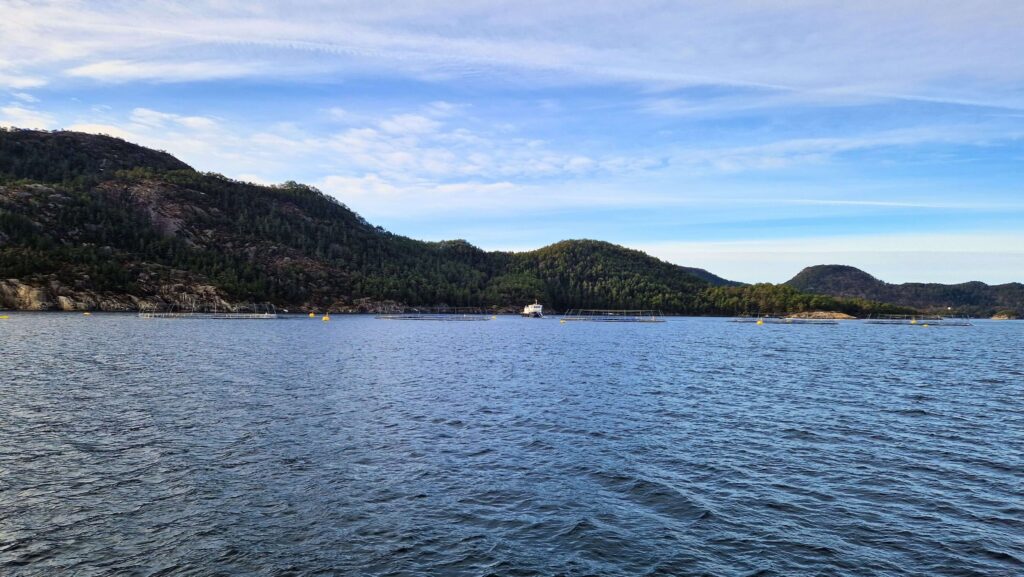Rejs po Lysefjord zimą – czy warto? Farmy łososi w Stavanger
