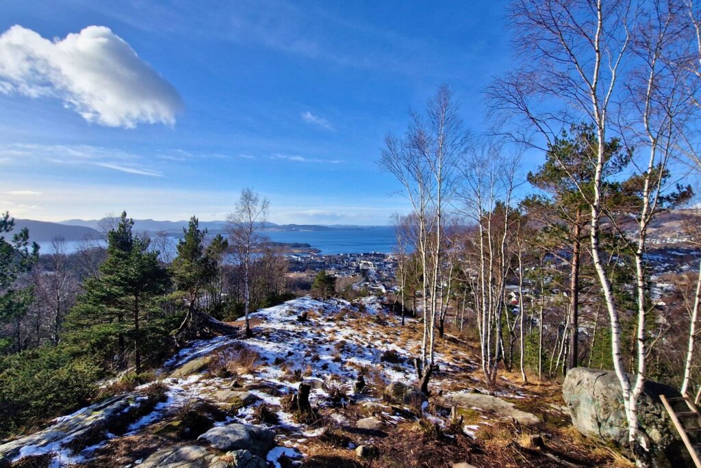 Na własne oczy: Domek jednodniowy Hammarbu w Jørpelandzie widok na jorpeland z hammarbu