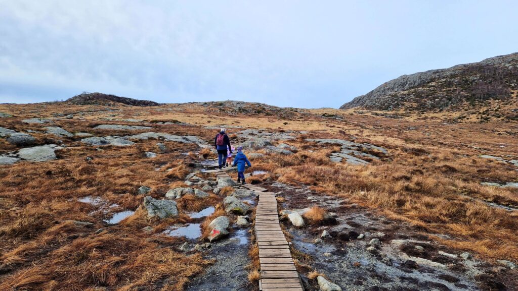 Dalsnuten – wszystko, co musisz wiedzieć Dalsnuten