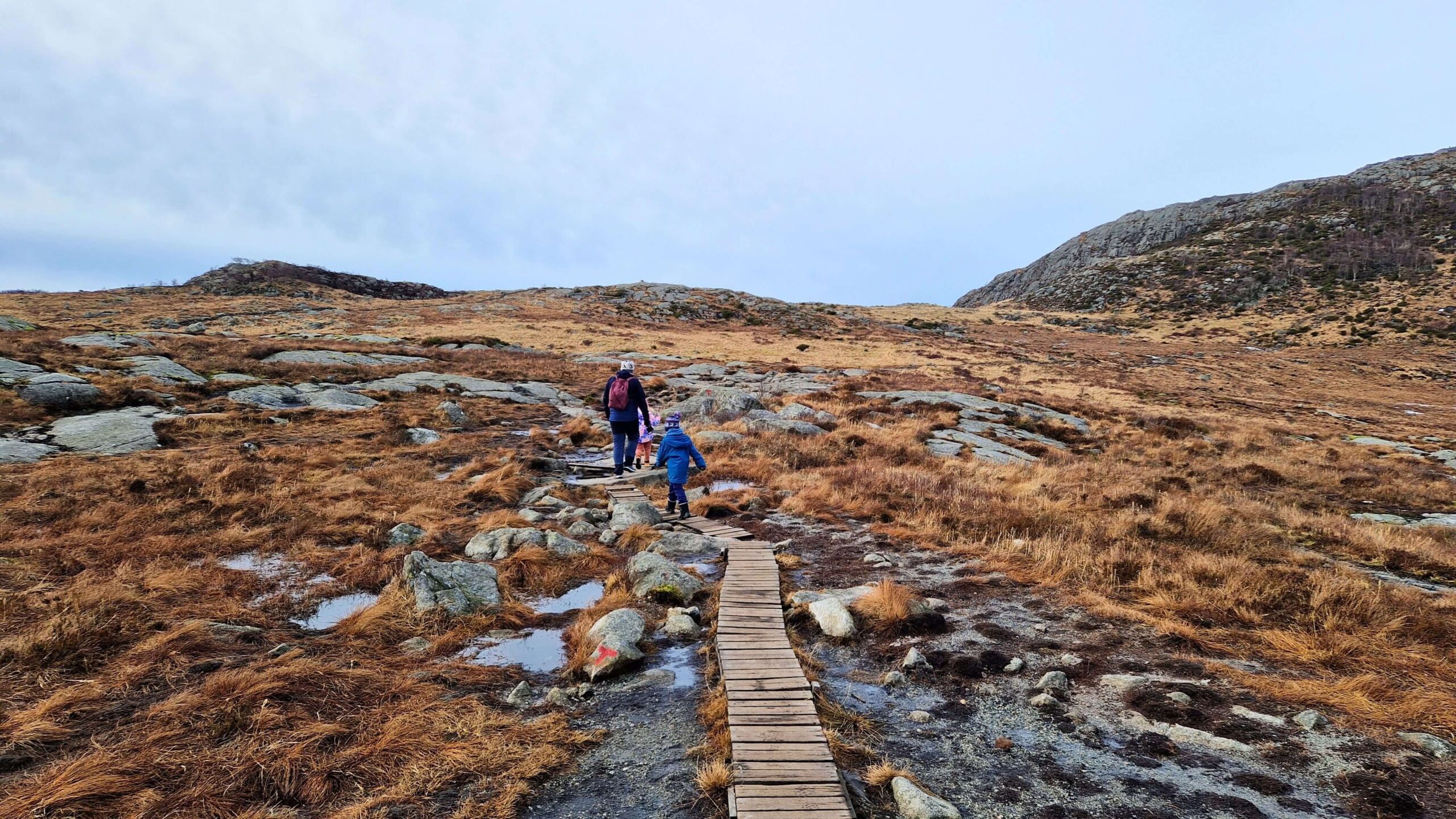 Dalsnuten – wszystko, co musisz wiedzieć Dalsnuten