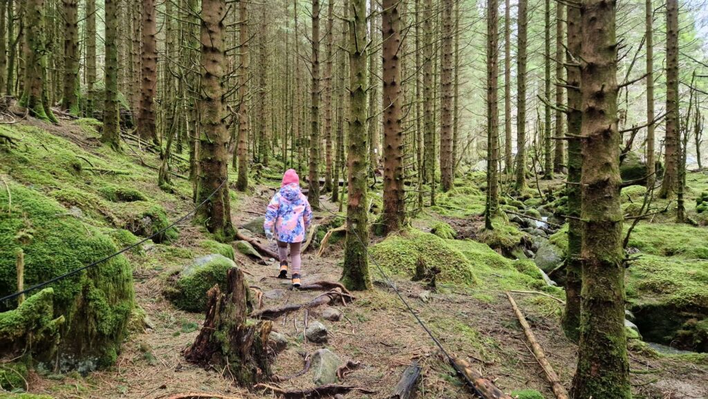 Ferie zimowe w Jørpelandzie: Plan podróży z dziećmi Eventyrskogen