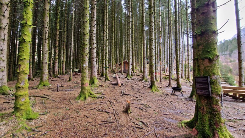 Ferie zimowe w Jørpelandzie: Plan podróży z dziećmi eventyrskogen bajkowy las