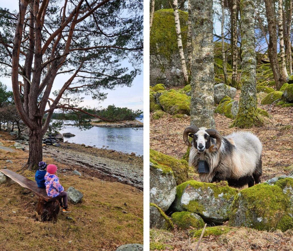 Ferie zimowe w Jørpelandzie: Plan podróży z dziećmi Jørpelandsholmen, Norwegia