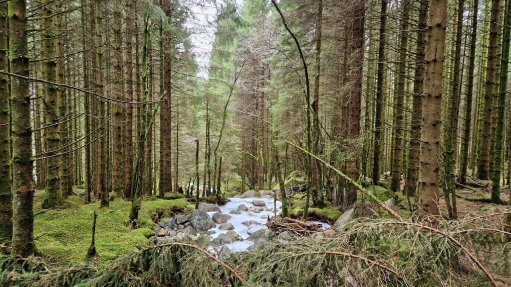 Ferie zimowe w Jørpelandzie: Plan podróży z dziećmi las Eventyrskogen