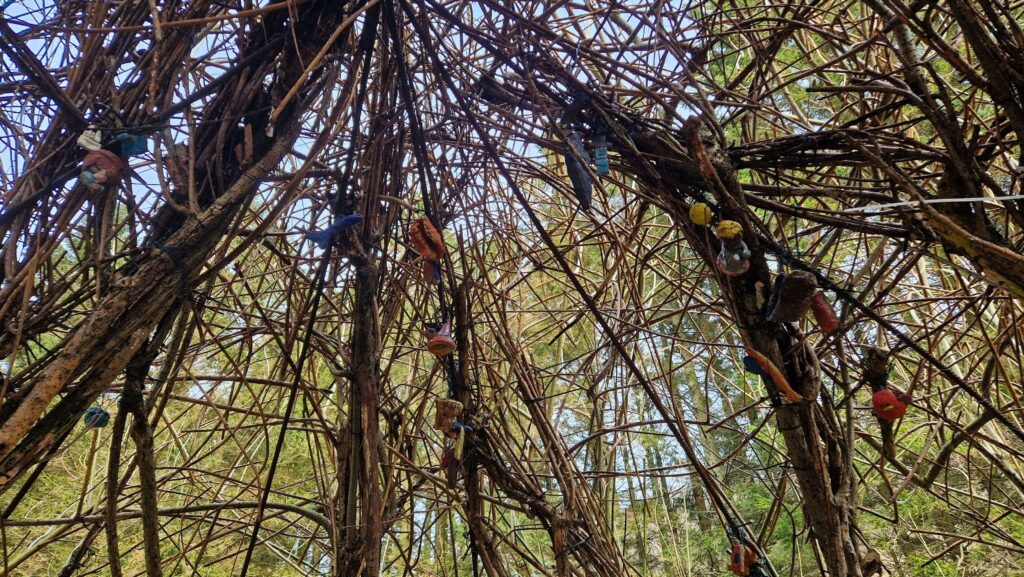 Dalsnuten – wszystko, co musisz wiedzieć Trasa na Dalsnuten, staw Gramstadtjørna, Rogaland