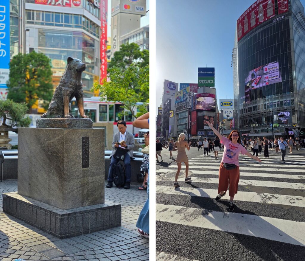 Tokio – co warto zobaczyć? Plan wycieczki na 4 dni Pomnik psa Hachikō i Shibuya Crossing