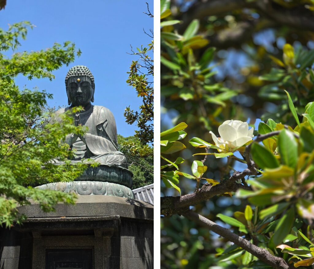 Tokio – co warto zobaczyć? Plan wycieczki na 4 dni Świątynia Tennō-ji, okolice Yanaka Ginza, Tokio