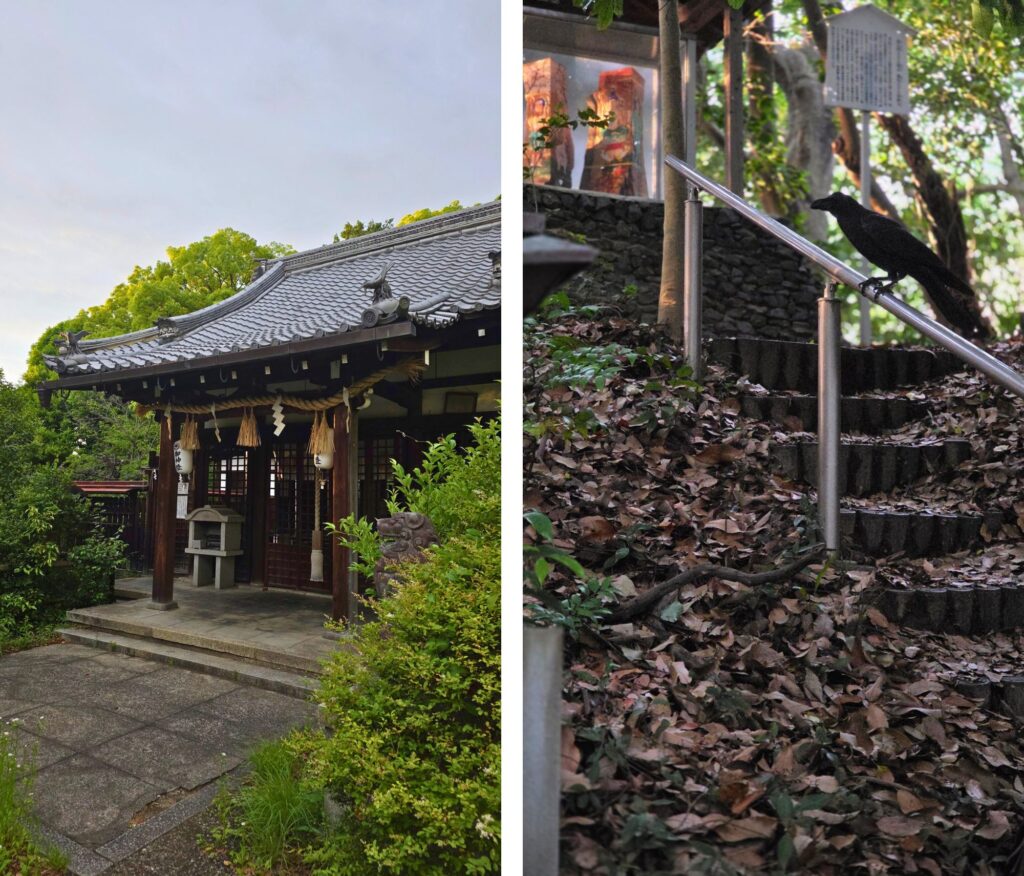 Kioto. Tych miejsc nie znajdziecie w przewodniku! Chram Imakumano-jinja i kruk, Kioto