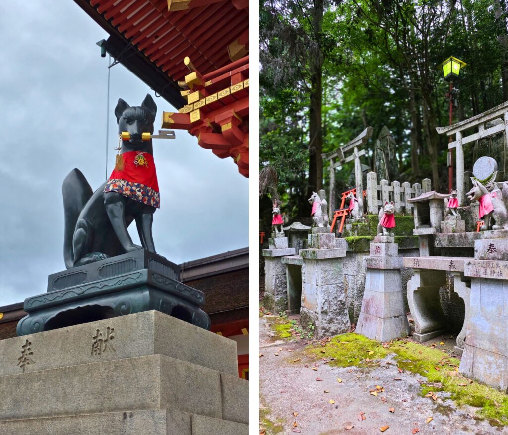 Kioto po raz pierwszy. Gdzie spać, jak się poruszać i co zobaczyć Fushimi Inari Taisha, Kioto lisy Kitsune