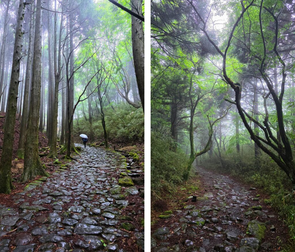 Hakone w deszczu. Czy to ma sens? Stara droga Tokaido w Hakone